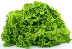 green-leaf-lettuce
