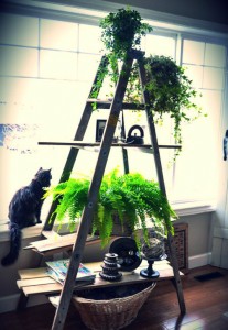 Ladder-plant-stand11