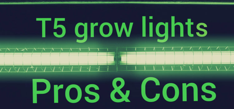 T5 grow light pros and cons