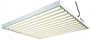 t5 grow lights