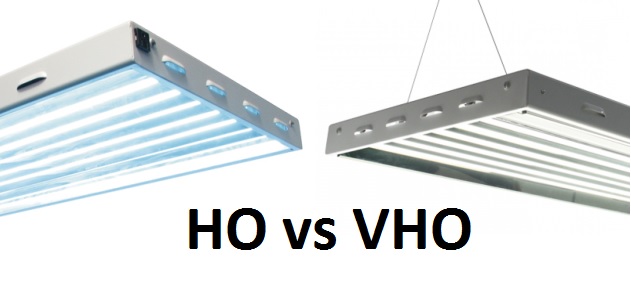 ho vs vho