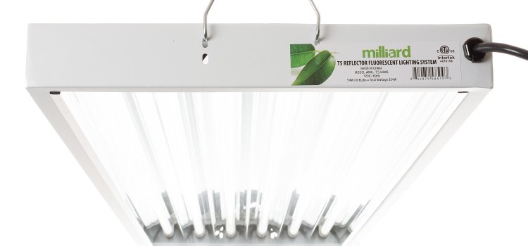 Milliard HO T5 4 feet 6 bulb fixture review