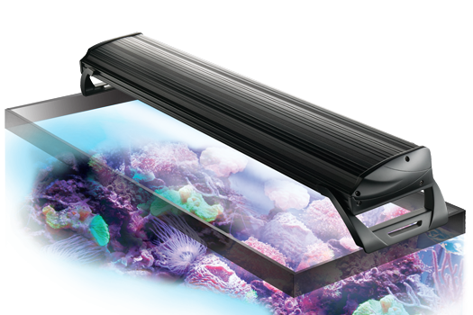 Coralife Aqualight 4 feet 2 lamp T5 Fixture review
