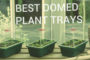 grow trays