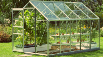 greenhouse gardening