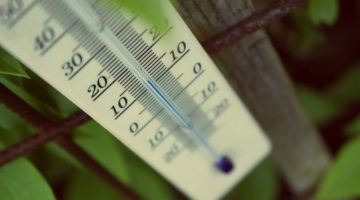 temperature in a greenhouse