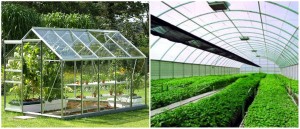 collage-greenhouses